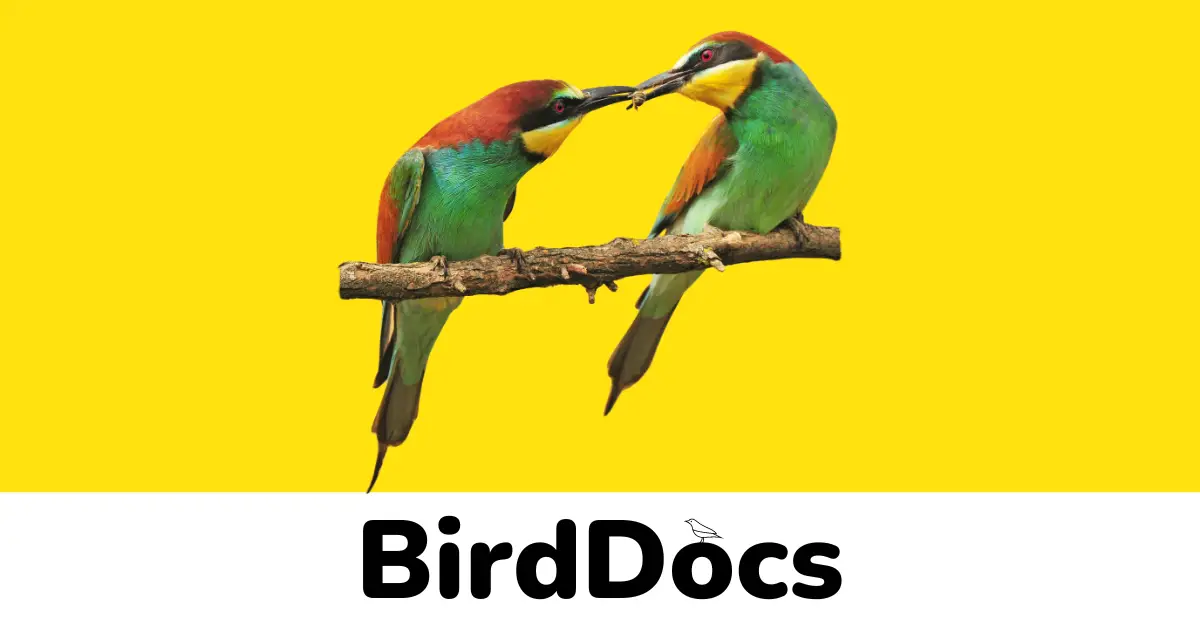 Can Birds Get Rabies? Here's What You Need To Know - BirdDocs.com